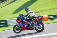 brands-hatch-photographs;brands-no-limits-trackday;cadwell-trackday-photographs;enduro-digital-images;event-digital-images;eventdigitalimages;no-limits-trackdays;peter-wileman-photography;racing-digital-images;trackday-digital-images;trackday-photos